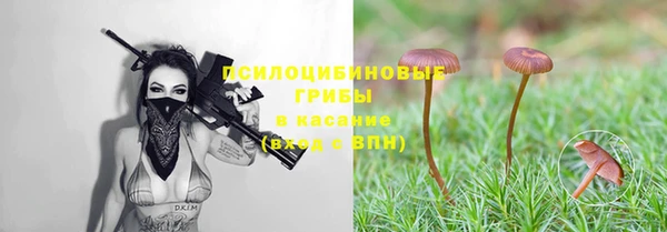 прущий лед Балабаново
