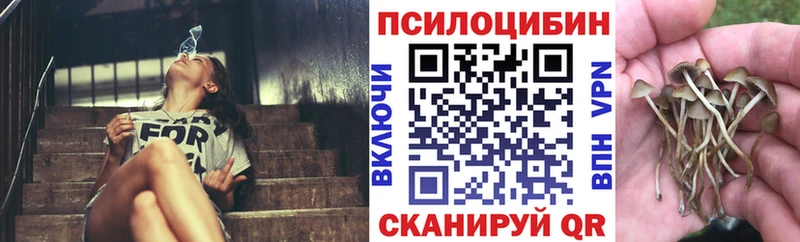 KRAKEN ONION  купить наркотик  Красный Кут  Псилоцибиновые грибы прущие грибы 